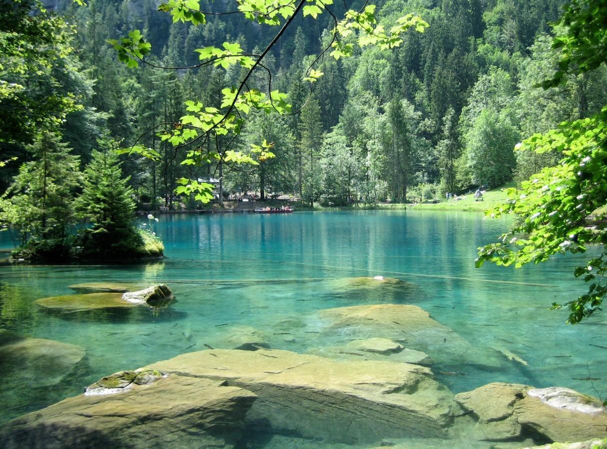 Apartment Kander Next Blausee Kandergrund Zewnętrze zdjęcie