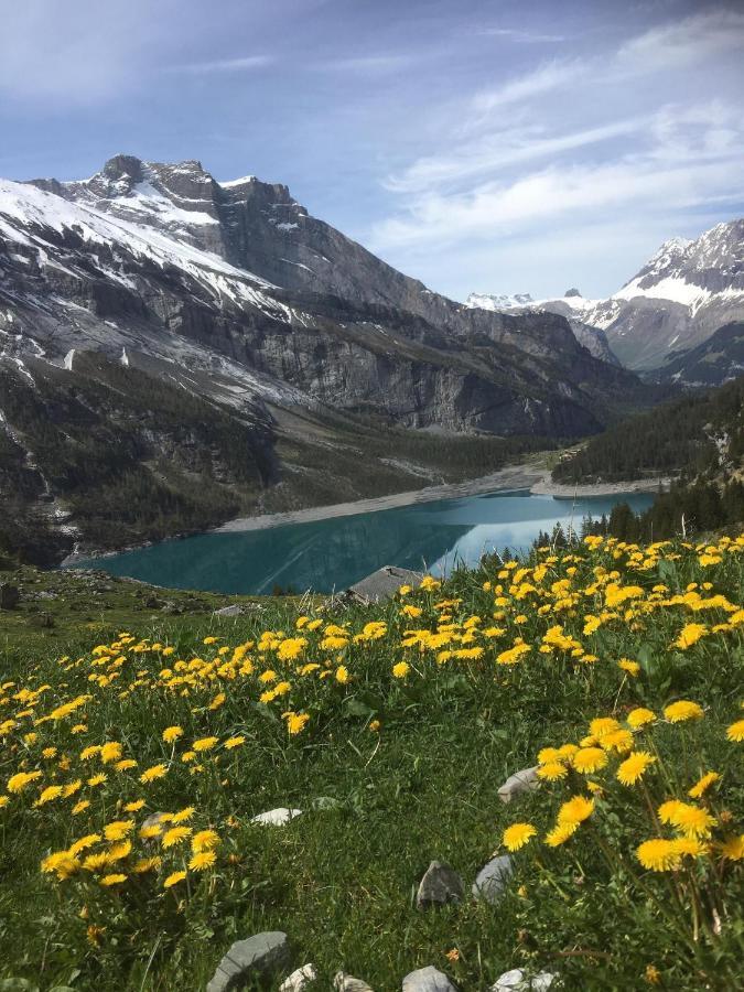 Apartment Kander Next Blausee Kandergrund Zewnętrze zdjęcie