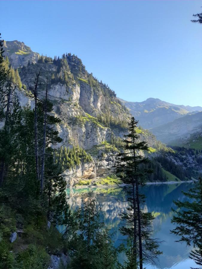 Apartment Kander Next Blausee Kandergrund Zewnętrze zdjęcie